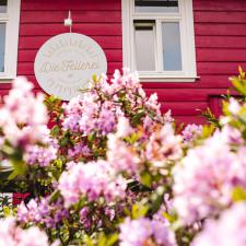 Die Fellerei mit Blumen